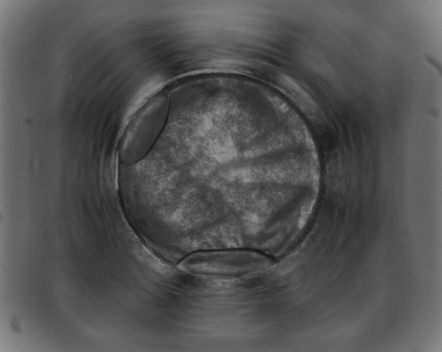 X0000096941180200803070959