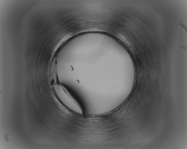 X0000096941181200803070959