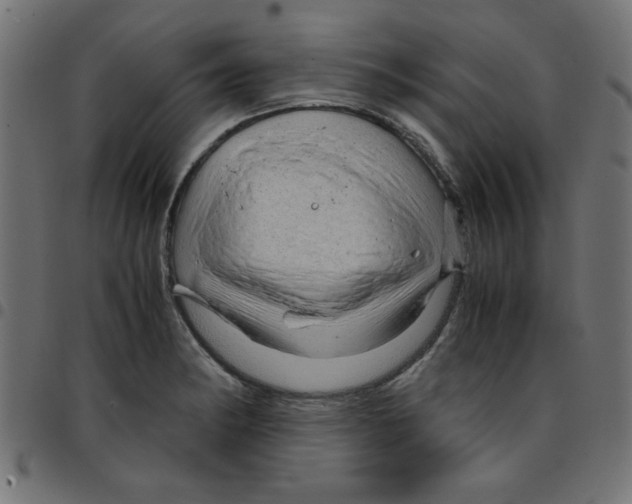 X0000096941182200803070959