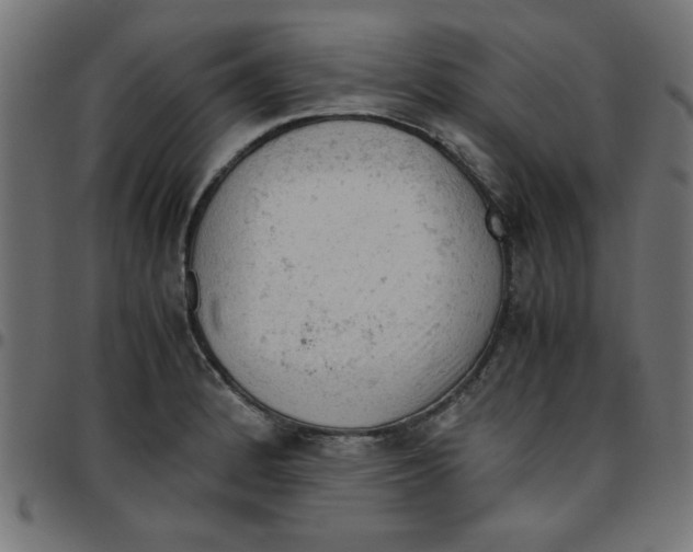 X0000096941184200803070959