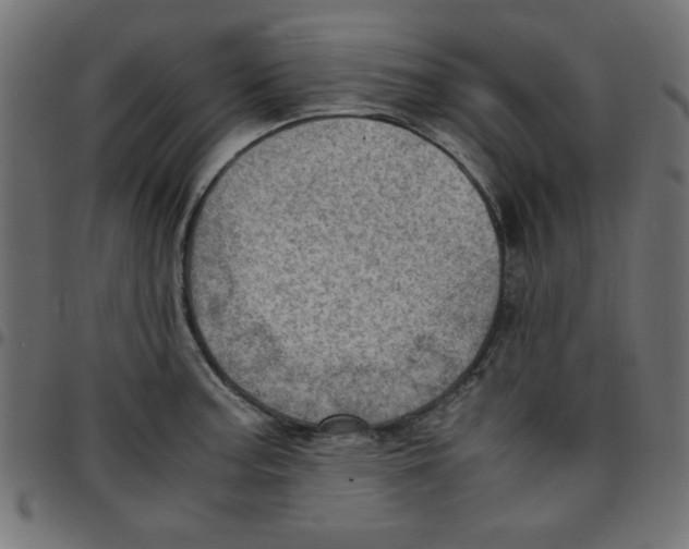 X0000096941187200803070959