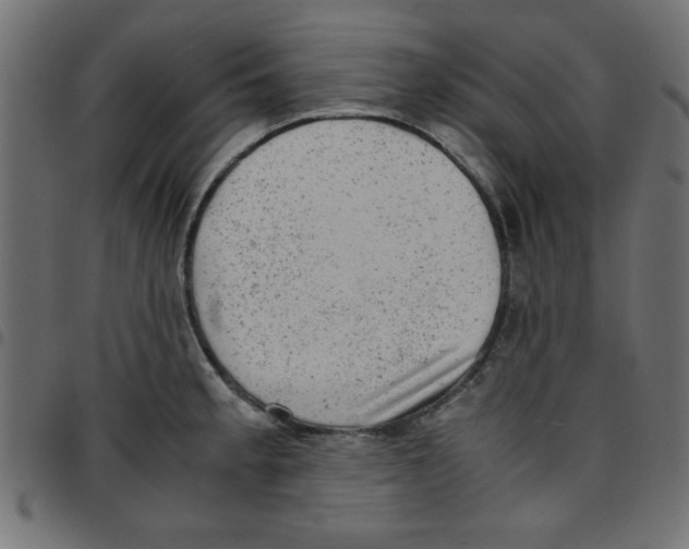 X0000096941189200803070959