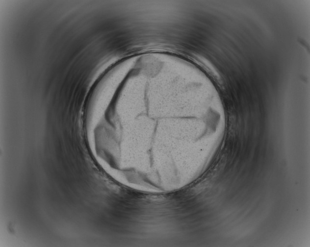 X0000096941190200803070959