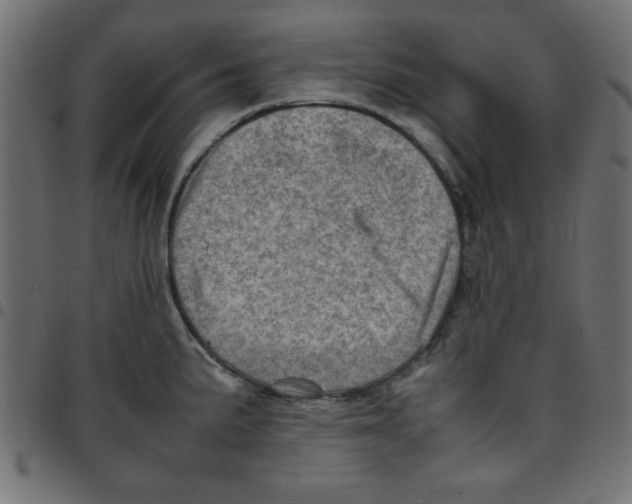 X0000096941191200803070959