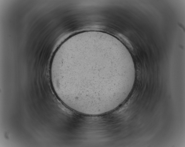 X0000096941192200803070959