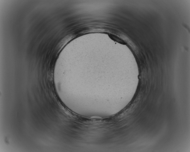 X0000096941193200803070959