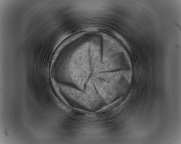 X0000096941194200803070959