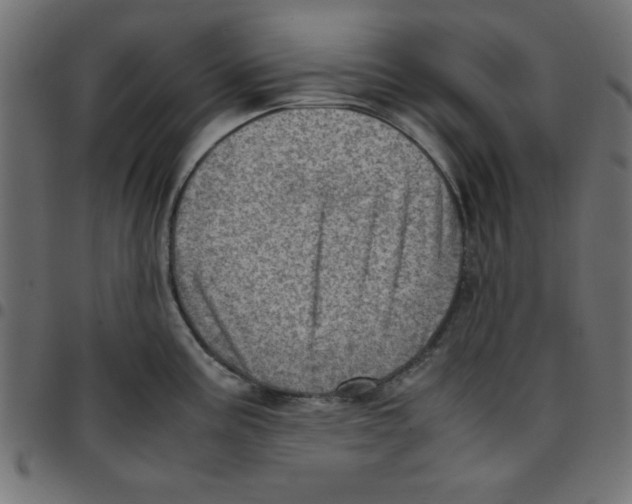 X0000096941195200803070959