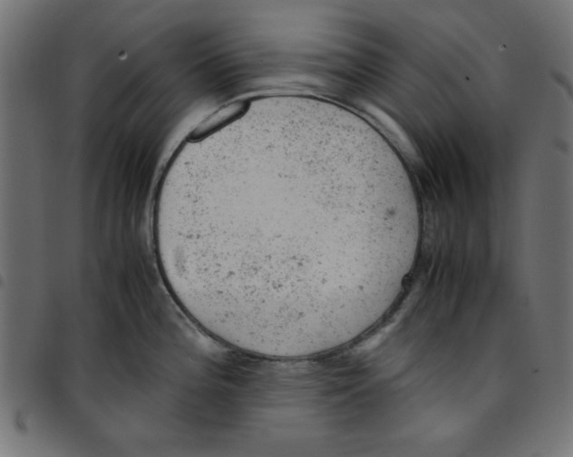 X0000096941196200803070959