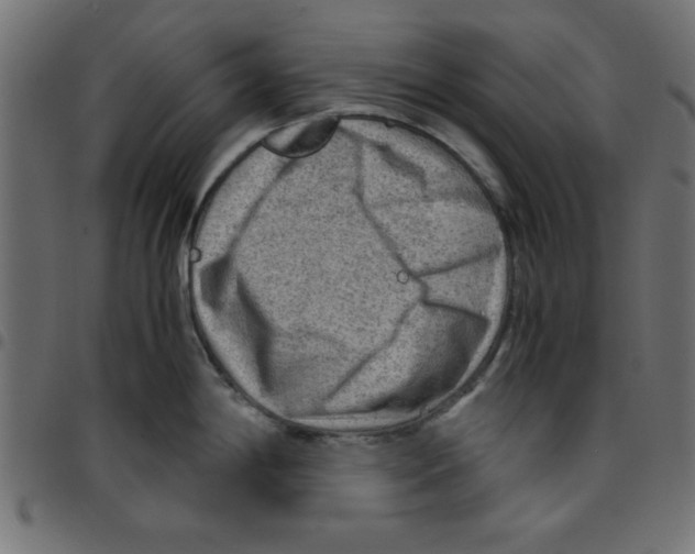 X0000096941198200803070959