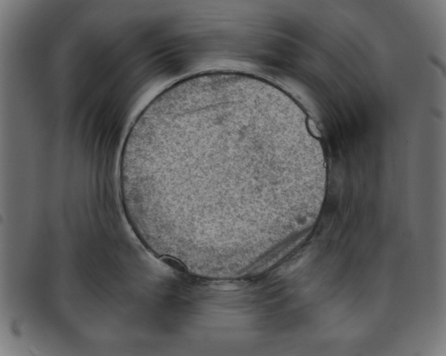 X0000096941199200803070959