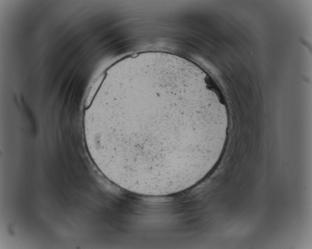 X0000096941200200803070959