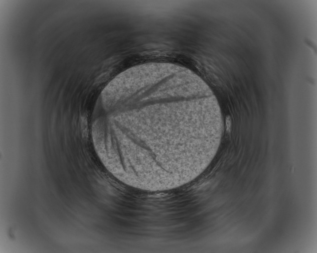 X0000096941203200803070958