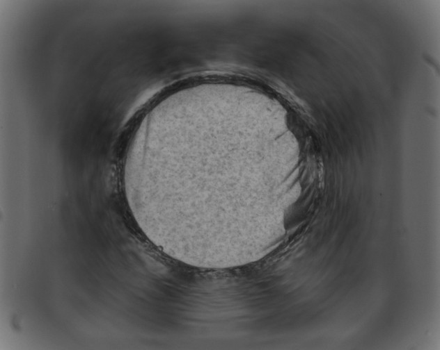 X0000096941208200803070958