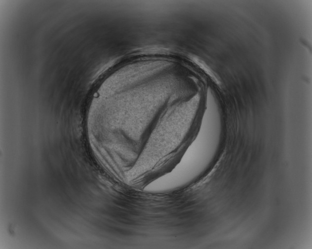 X0000096941213200803070958