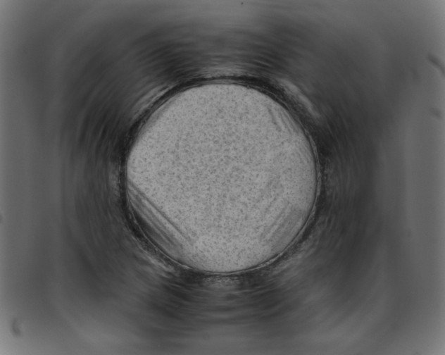 X0000096941217200803070958