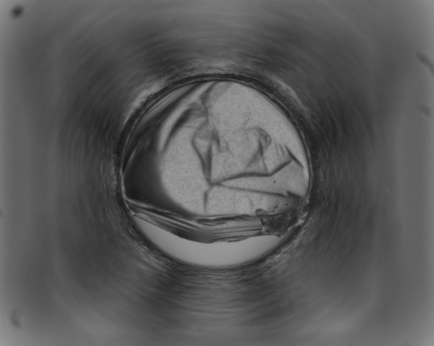 X0000096941218200803070958