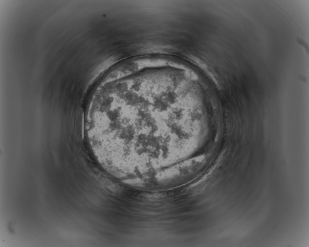 X0000096941219200803070958