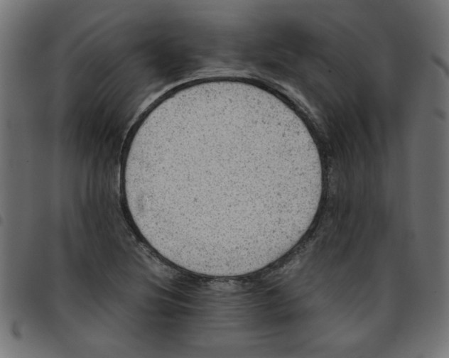 X0000096941220200803070958