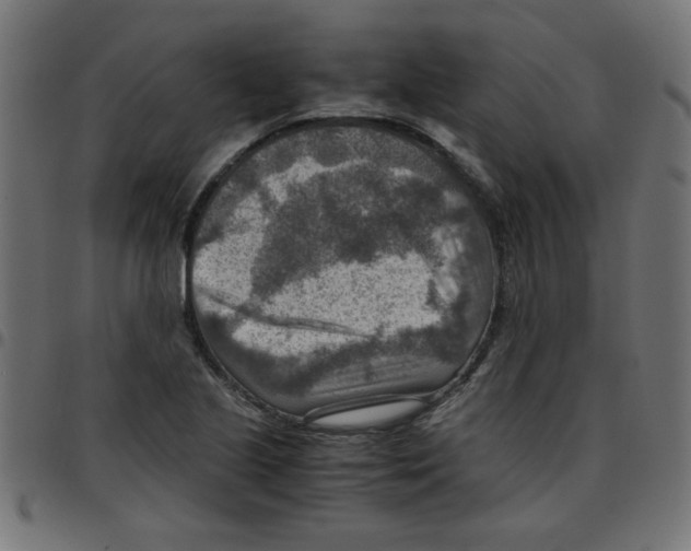 X0000096941221200803070958