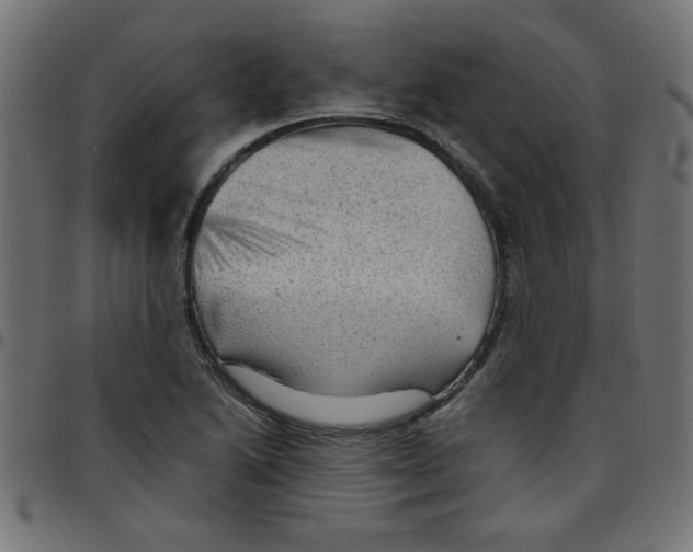 X0000096941222200803070958