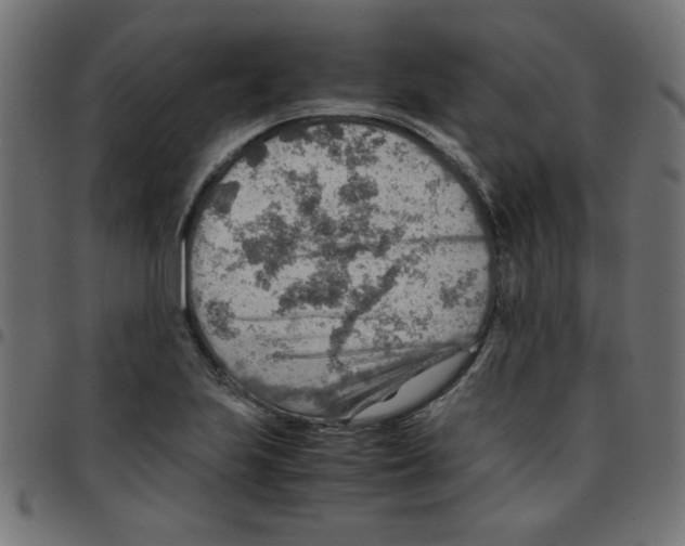 X0000096941223200803070958