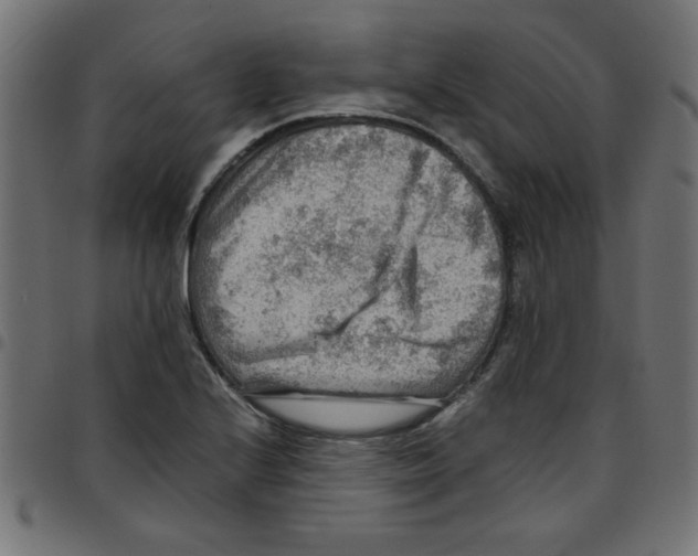 X0000096941224200803070958