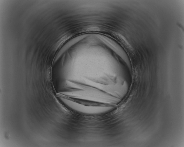 X0000096941225200803070958