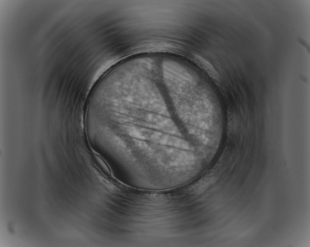 X0000096941226200803070958