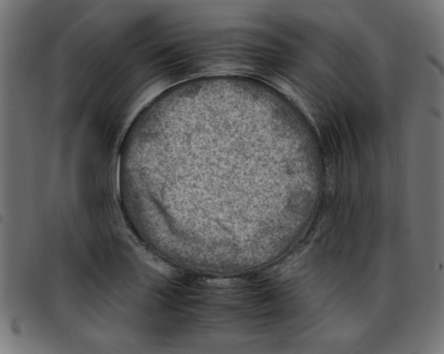 X0000096941227200803070958