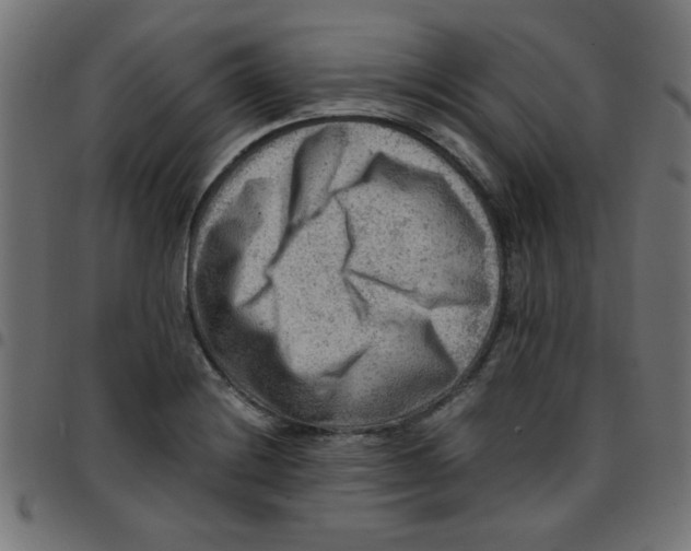 X0000096941228200803070958