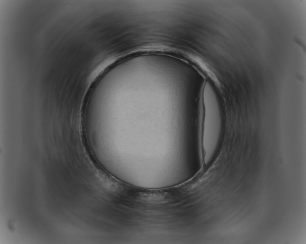 X0000096941229200803070958