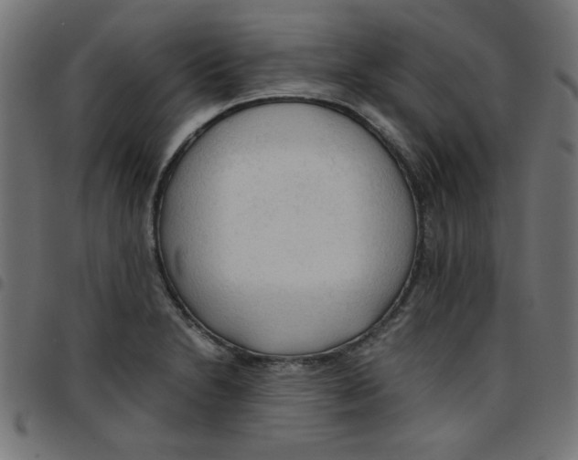 X0000096941230200803070958