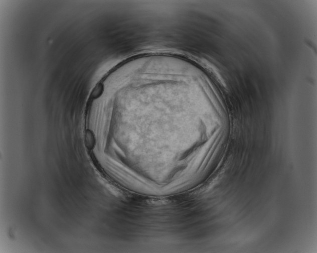 X0000096941231200803070958