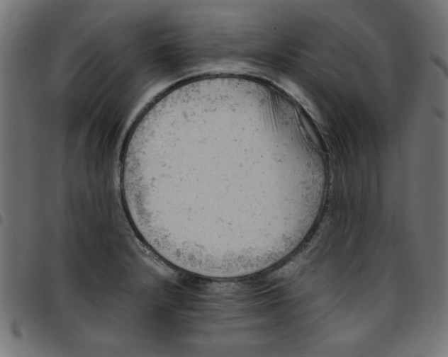 X0000096941232200803070958