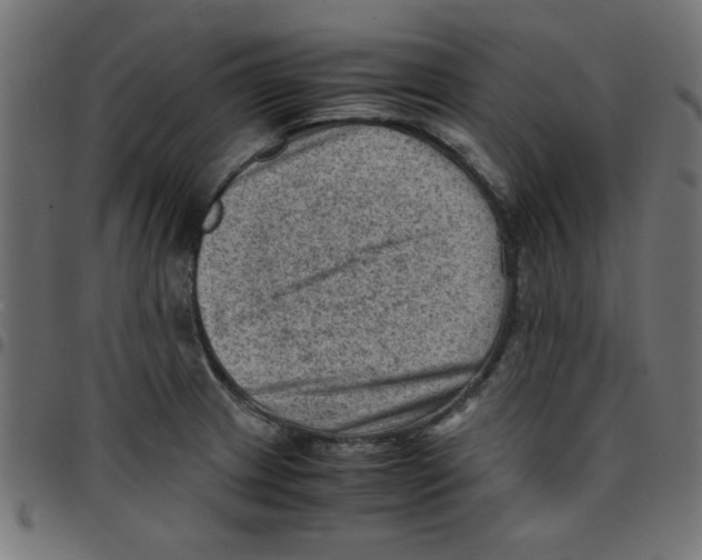 X0000096941233200803070958