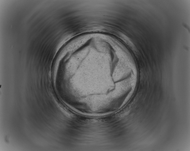 X0000096941234200803070958