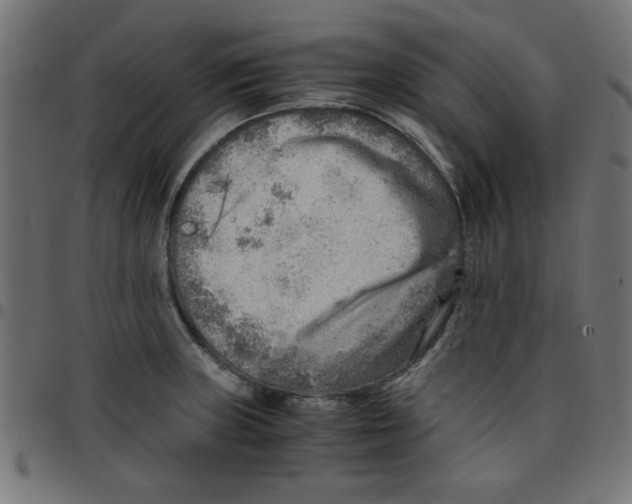 X0000096941235200803070958