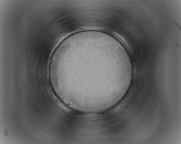 X0000096941236200803070959