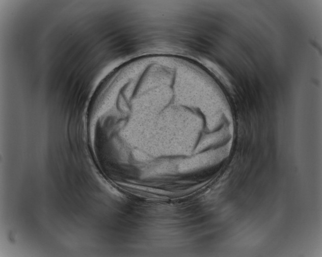 X0000096941238200803070959