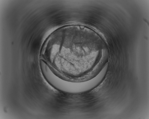 X0000096941239200803070959