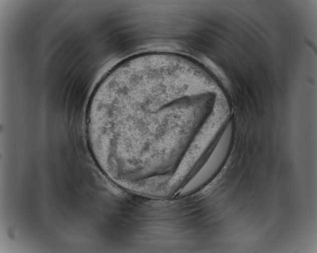 X0000096941240200803070959