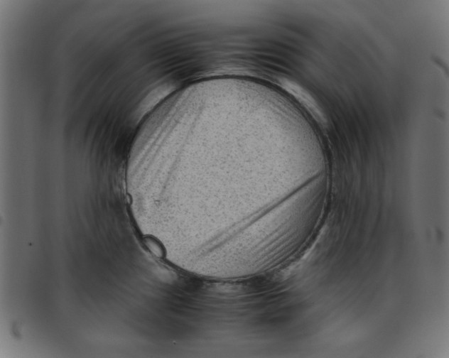 X0000096941241200803070959