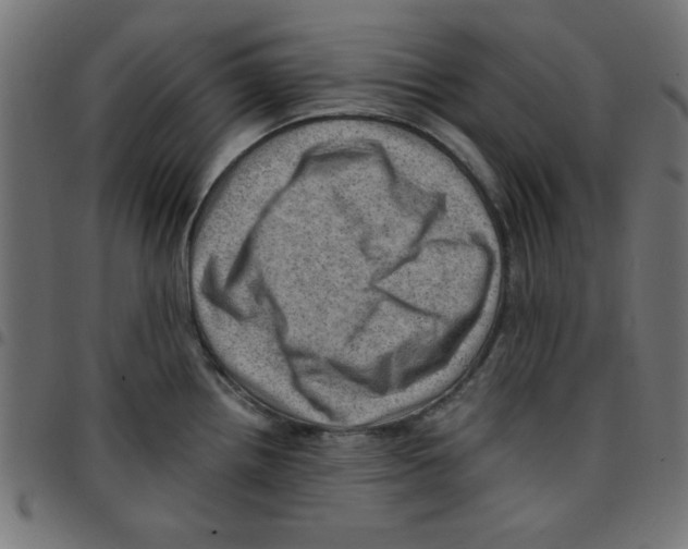 X0000096941242200803070959