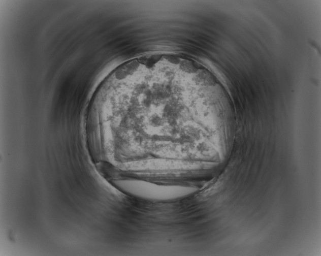 X0000096941243200803070959