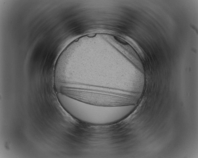 X0000096941244200803070959