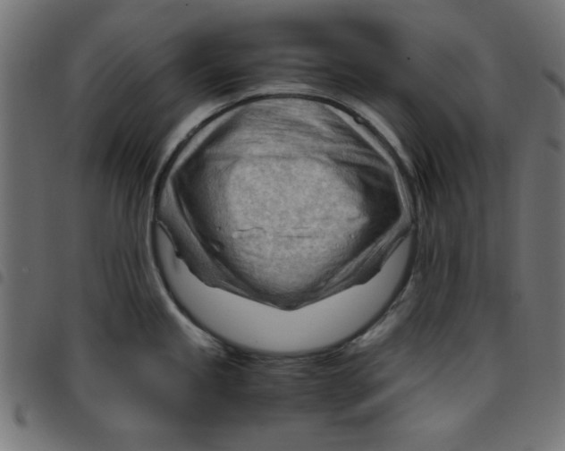 X0000096941245200803070959