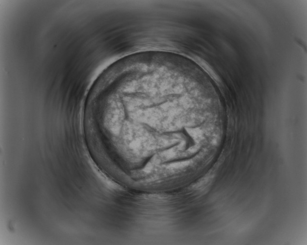 X0000096941246200803070959