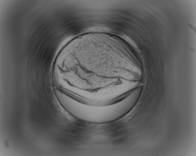 X0000096941248200803070959