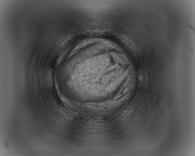 X0000096941252200803070958